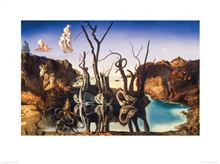 Salvador Dali - Swans Reflecting Elephants