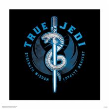 Star Wars: Episode IX - True Jedi