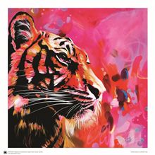 Heylie Morris - Confetti Jungle - 40x40