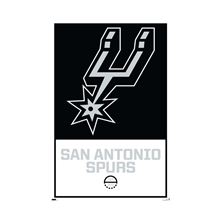NBA San Antonio Spurs - Logo 21 - Reg Poster