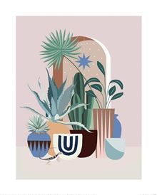 Summer Thornton - Cactus in Pots