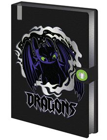 How to Train Your Dragon - Toothless - Premium Notebook