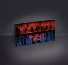 Stranger Things - WSQK - Light Up Canvas