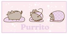 Pusheen - Purrito - Light Up Canvas