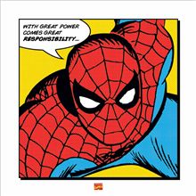 Marvel  Comics - Spider-Man Comics Great Power